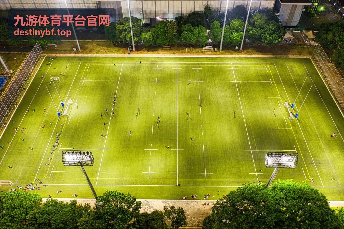 九游体育平台官网项目详情与数据走势页面示意